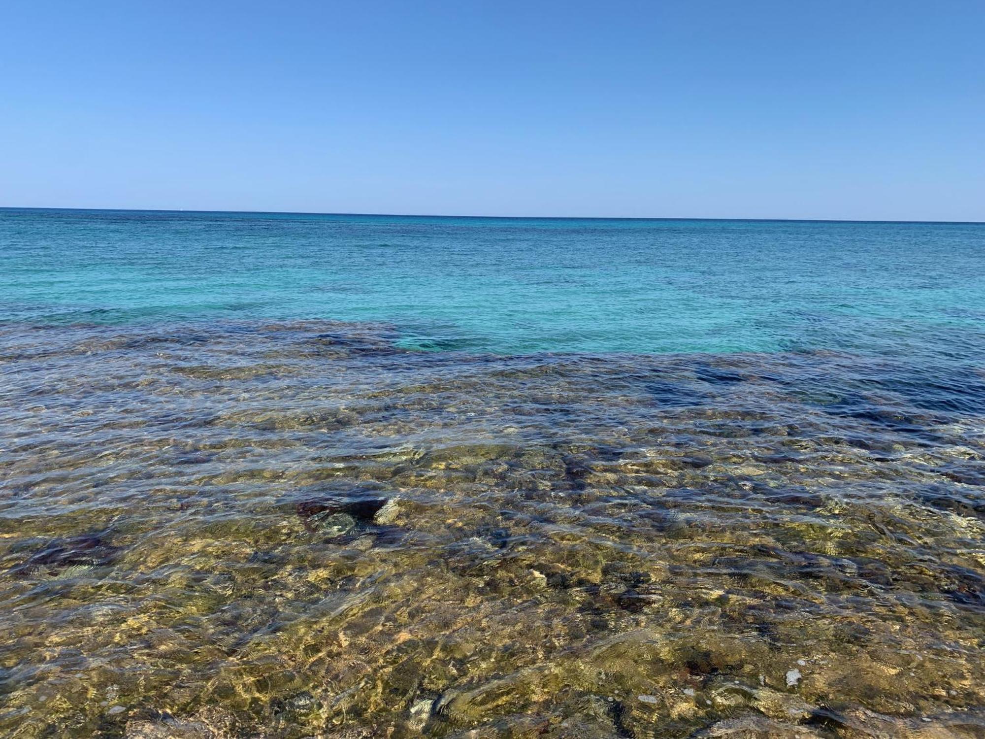 L'Oasi Una Pineta Sul Mare Кустоначі Екстер'єр фото
