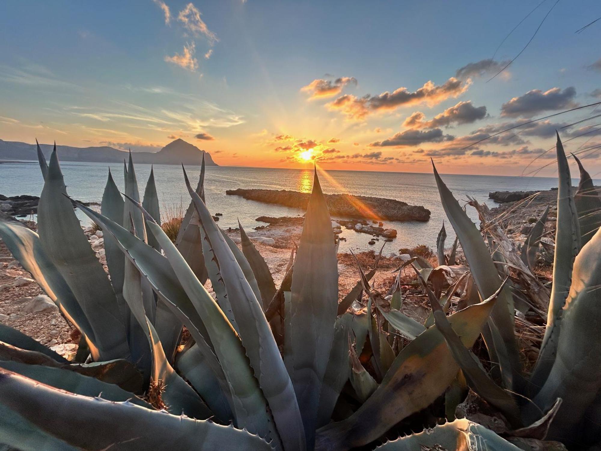 L'Oasi Una Pineta Sul Mare Кустоначі Екстер'єр фото