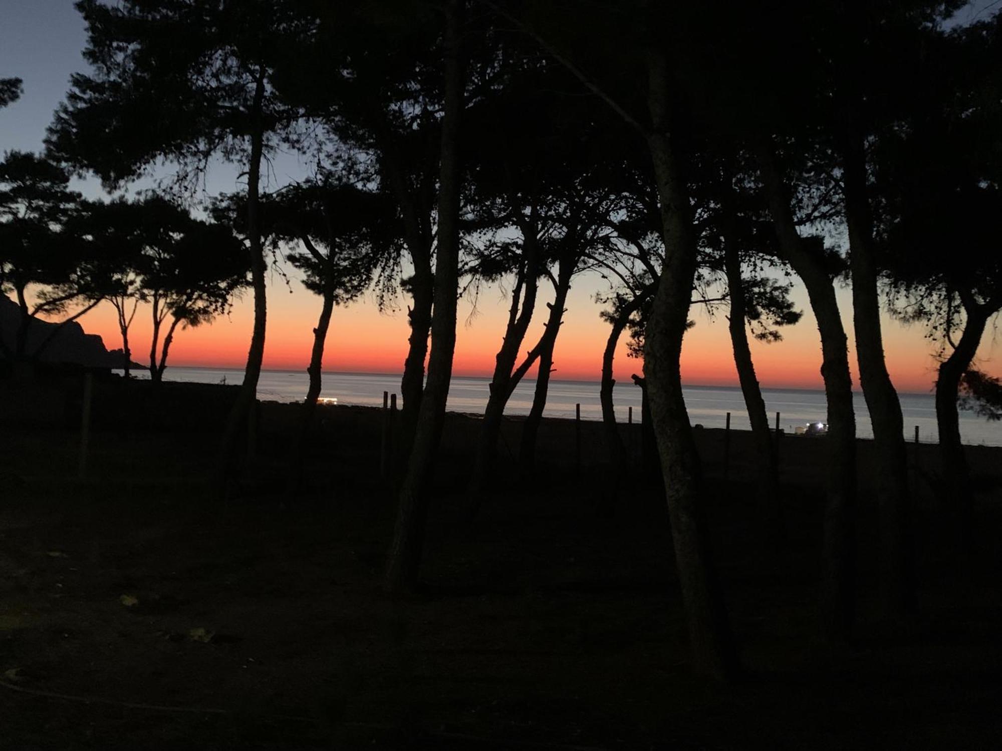 L'Oasi Una Pineta Sul Mare Кустоначі Екстер'єр фото